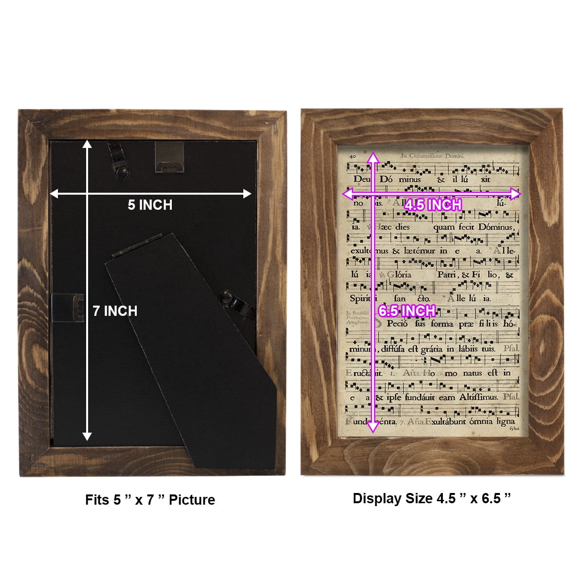Vellum Songbook II -Framed Print w/glass-Walnut