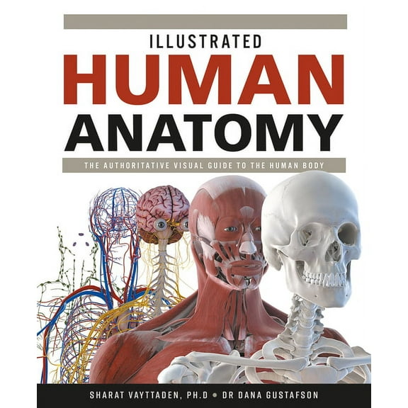Illustrated Human Anatomy: The Authoritative Visual Guide to the Human Body, (Hardcover)