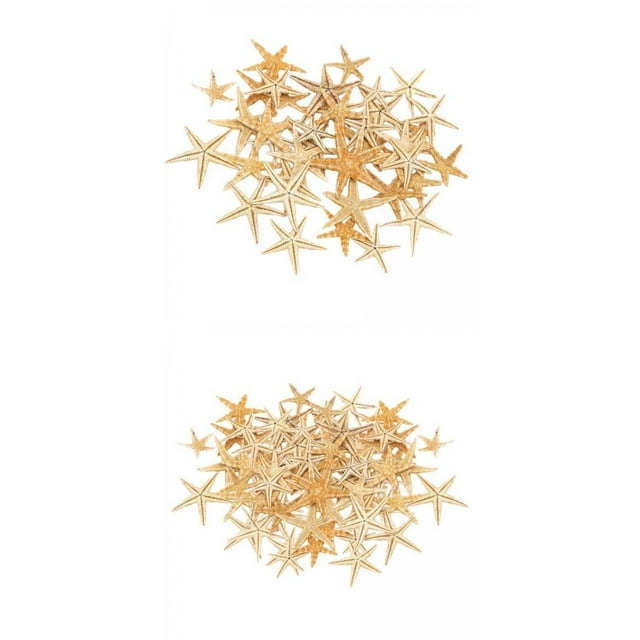 Estrella de Mar Natural Estrella de Mar Conchas Marinas Conchas de Playa Artesanía Acuario Decoración Regalo