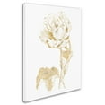 thumbnail image 2 of Trademark Fine Art 'Gilded Botanical VII' Canvas Art by Wild Apple Portfolio, 2 of 3