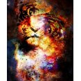 thumbnail image 2 of Magical Multi-color Space Tiger Wall Mural Wallmonkeys Peel and Stick Graphic (36 in H x 30 in W) WM502678, 2 of 4