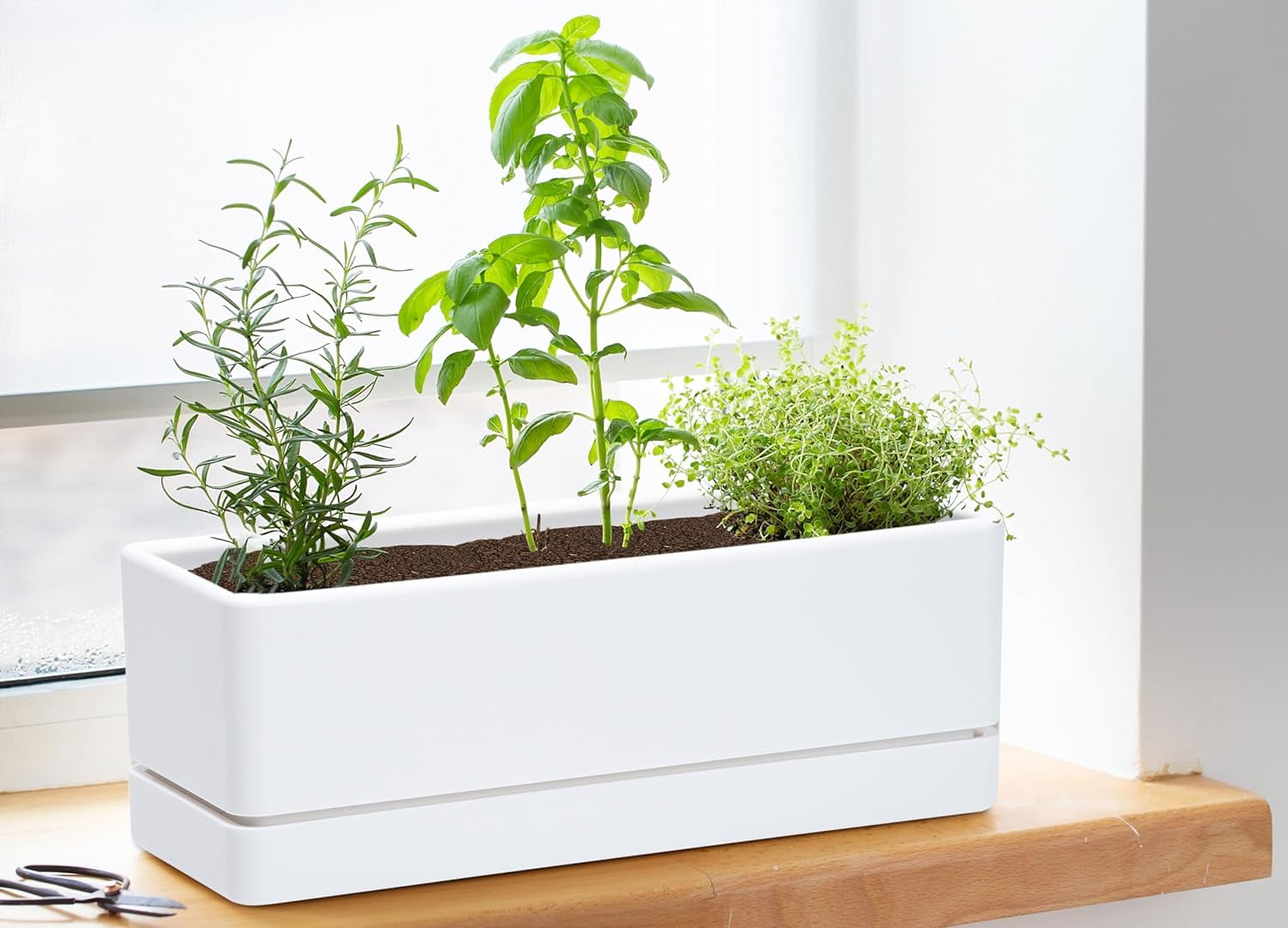 12 Inch Window Box Planter, Rectangle Plastic Herb Planter with Drainage Holes and Saucer, Indoor Succulent Cactus Vegetable Pot for Windowsill, Garden Balcony, Clear, Set of 2, 76-X-D-2