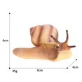 thumbnail image 7 of Rushawy Growth Cycle Model Life Cycle of Snail Animal Model Action Figure Photography Props, 7 of 7