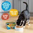 thumbnail image 6 of Meow Mix Simple Servings Wet Cat Food with Real Tuna and Salmon in Sauce, 2.6-Ounce, Pack of 2 (Packaging May Vary), 6 of 10