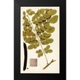 thumbnail image 2 of Vision Studio 10x14 Black Modern Framed Museum Art Print Titled - Leaf Varieties I, 2 of 5