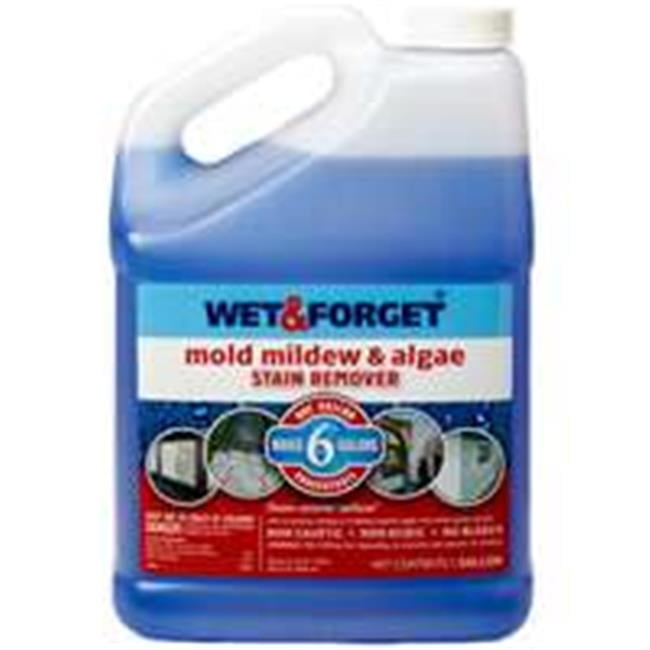 Wet And 800066CA Remover Mildew & Mold 1 Gallon