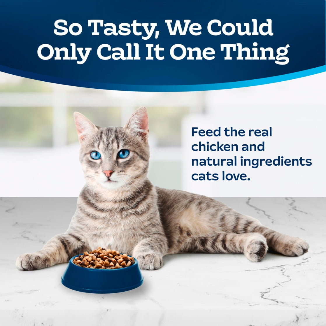Blue Buffalo Tastefuls Adult Dry Cat Food Indoor Formula, Chicken & Brown Rice Recipe, 22-lb Bag