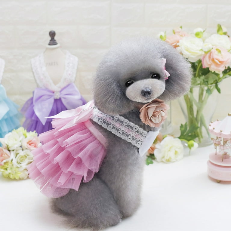 Dog wedding hot sale outfit girl