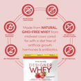 thumbnail image 4 of Designer Wellness, Designer Whey, Natural 100% Whey Protein Powder with Probiotics, Fiber, and Key B-Vitamins for Energy, Gluten-free, Non-GMO, Summer Strawberry, 2 lb, 4 of 7