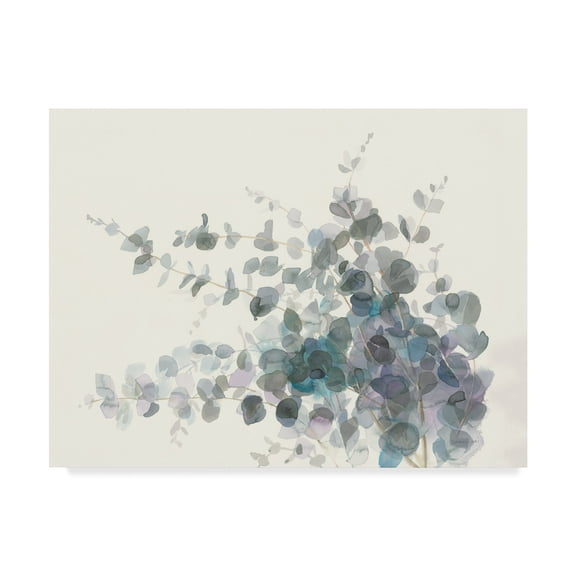 Trademark Fine Art 'Scented Sprig I' Canvas Art by Danhui Nai