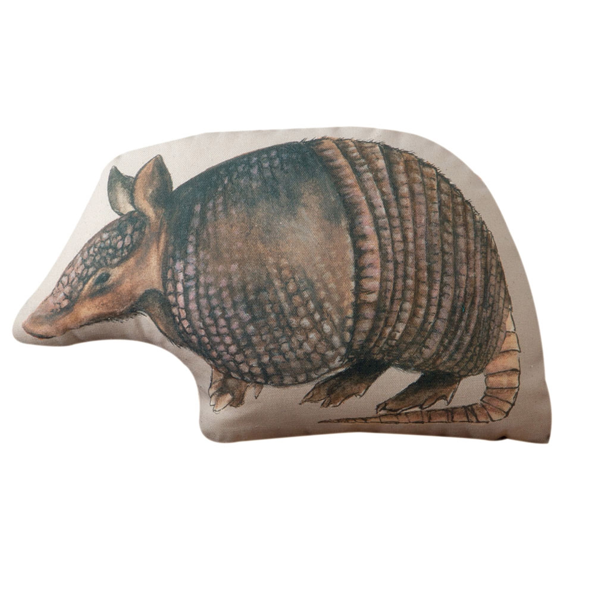 Southwest Armadillo Pillow