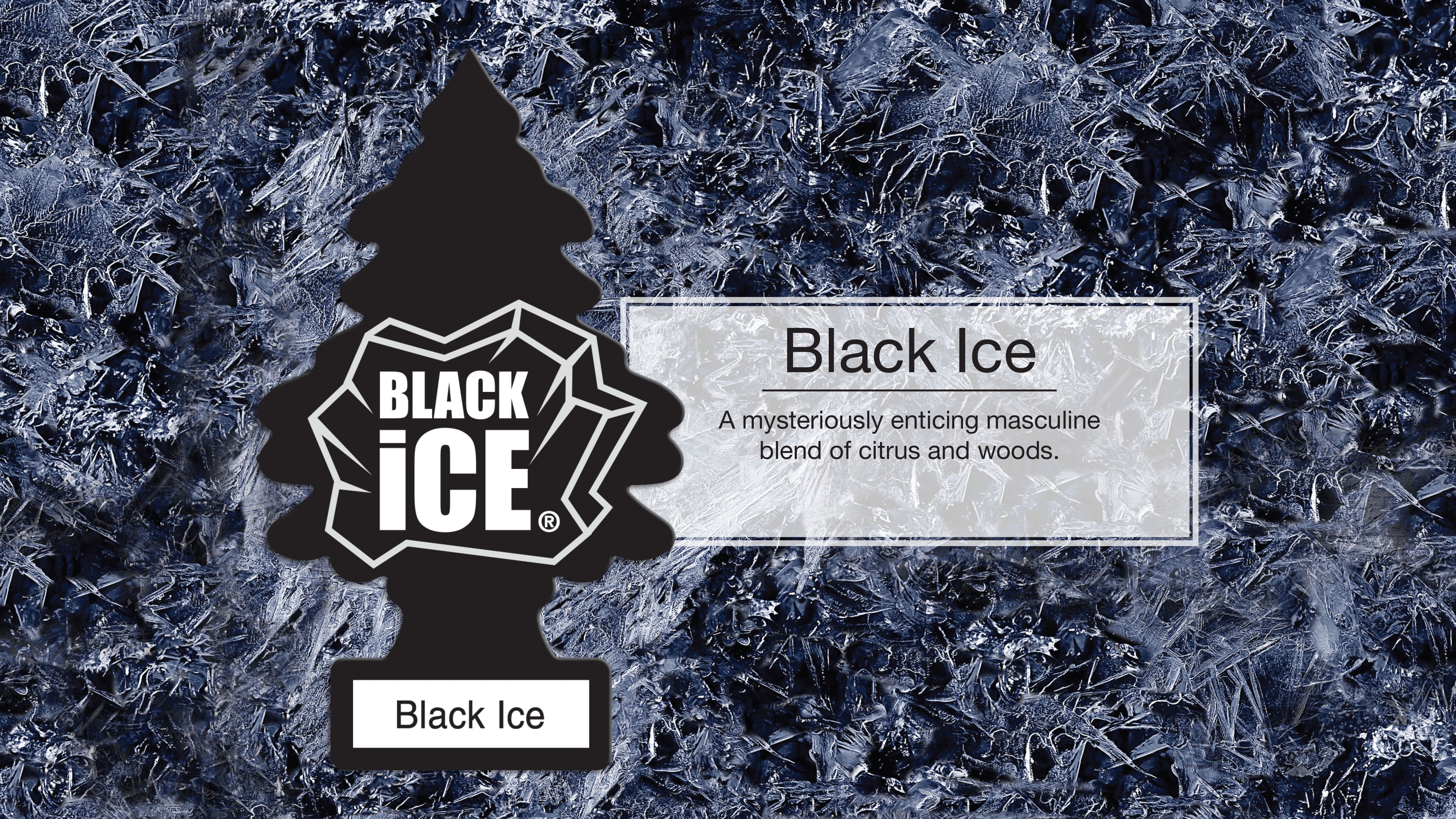 Little Trees Air Freshener Black Ice Fragrance 6 Pack Walmart Com Walmart Com Little Trees Air Freshener Black Ice Fragrance 6 Pack Walmart Com Walmart Com
