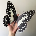 thumbnail image 6 of Yeetfub 2024 Thick Peel And Stick Backsplash Clearance Home 3D Butterfly Wall Decor Birthdays Parties Cake Decal Weddings Kids Bedroom Oversized Butterfly Wall Decoration, 6 of 7