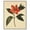Silver Frame, variant on Red Petal Reverie III Canvas Vintage Botanicals by Art Remedy, Gallery Wrapped, 20" x 24"
