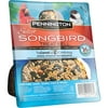 Pennington Select Songbird Treat Bell Instant Feeder, 13oz
