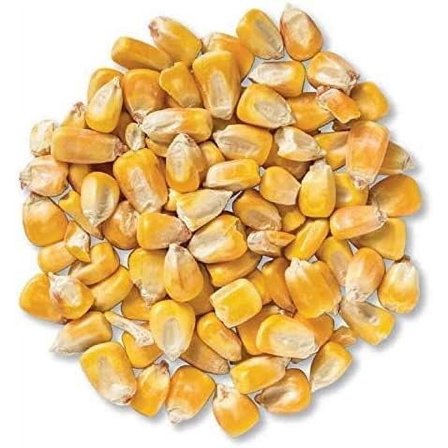 good fortune Whole Corn for Wildlife Feeding (1, 50 Pounds)