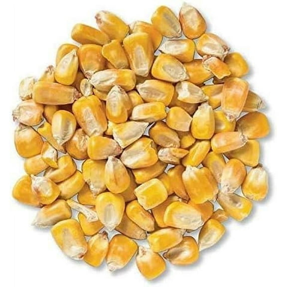 good fortune Whole Corn for Wildlife Feeding (1, 50 Pounds)