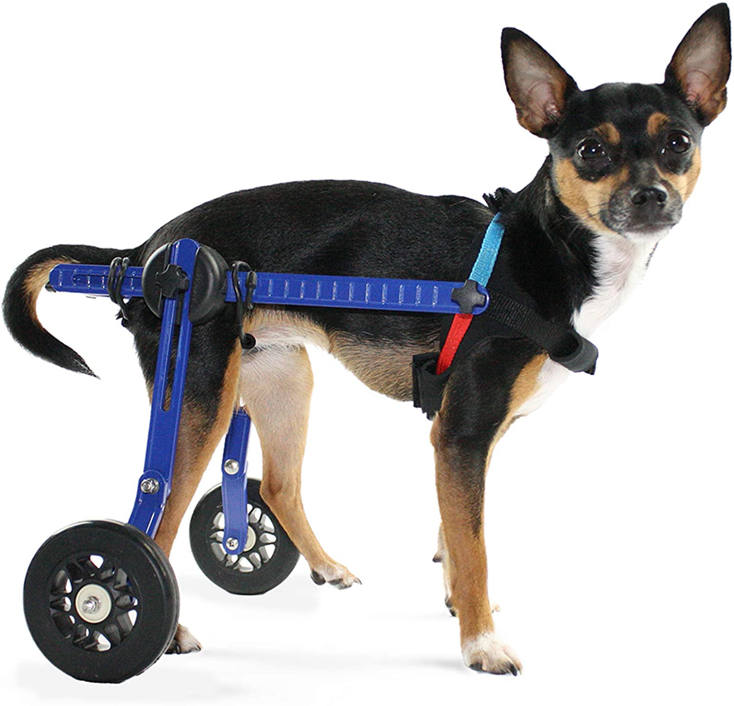 shewt Adjustable Dog Wheelchair for Back Legs,Hind Legs Auxiliary Pet Wheelchair,Soft Comfortable Dog WheelChair for Small/Medium/Large Dog