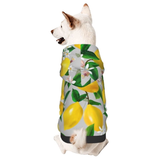 Fotbe Lemon Seamless Pattern Oil Painting Effect Sudadera con Estampado para Perros Pequeños – Suéter con Capucha para Mascotas, Tela Suave de Forro Polar con Bolsillo-X-Small