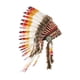 thumbnail image 3 of Tocados de plumas de inspiración india: accesorios fotográficos para fiestas de baile y burlesque., 3 of 6