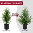 thumbnail image 3 of ENVEN 2FT Artificial Norfolk Pine Christmas Tree &acirc; Tabletop Faux Tree Unlit/Prelit with 50 LED Lights & 8-Function Battery B, 3 of 9