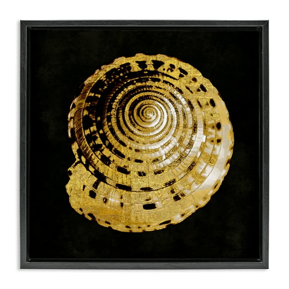 Stupell Industries Gold Spiral Shell Nautical & Beach Painting Black Floater Framed Canvas Art Print Wall Art, 18 x 18