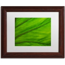 Trademark Fine Art "Green Elephant Ear Abstract" Canvas Art by Kurt Shaffer White Matte, Wood Frame
