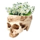 thumbnail image 5 of Maceta De Calavera, Maceta Con Forma De Calavera De Protección Del Medio Ambiente, Para Muebles Personalizados Para El Hogar, Adornos De Barra, Decoración Del Hogar, Flores De Ccdes Otros, 5 of 8