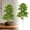 A, variant on Plastic Pine Branches Artificial Plant, Realistic Green Faux Branches For DIY Craft, Office Home Events Decor, Artificial Plant Branches For Holiday And Home Arrangements,B