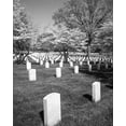 thumbnail image 2 of Highsmith, Carol 12x14 White Modern Wood Framed Museum Art Print Titled - Springtime at a Memorial Cemetery, 2 of 4