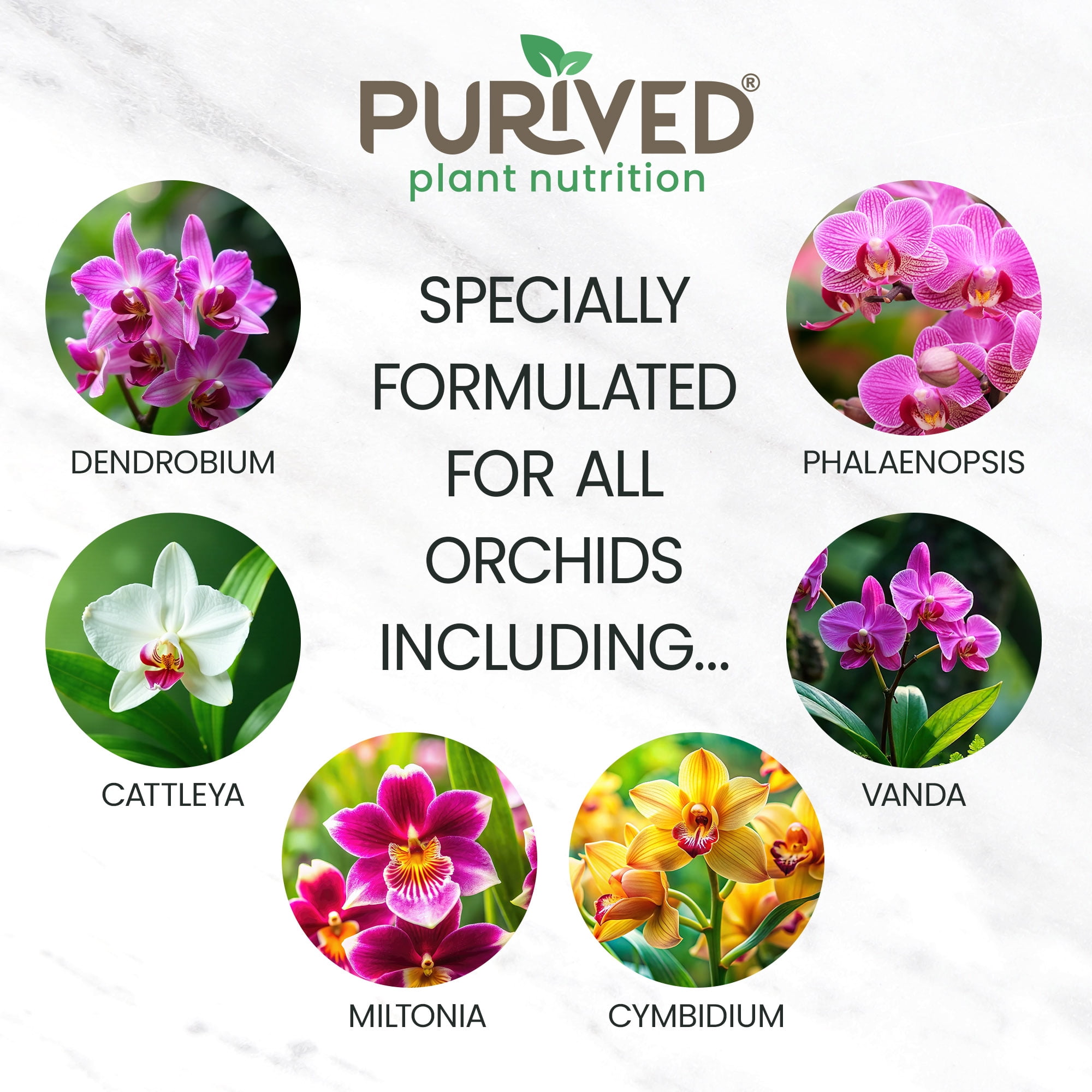 Purived 16oz Orchid Liquid Fertilizer - Makes 50 Gallons, Boosts Blooms & Root Strength, Ideal for Phalaenopsis, Dendrobium & More, Supports Vibrant, Long-Lasting Flowers, Made in USA