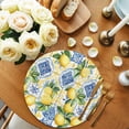 thumbnail image 2 of Botanical Lemon Round 13 Inch Placemats Set of 8, Spring Countryside Floral Blue Tile HeatResistant Non Slip Place Mats for Dining Table, Wipeable Braided Kitchen Table Mats for Housewarming, 2 of 9