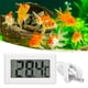 thumbnail image 4 of Termómetro Para Tanque De Agua, Termómetro Para Tanque De Peces, Sonda Digital Precisa Para Incubadoras Pequeñas En Granjas Para Apicultura, 4 of 7