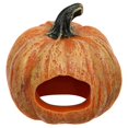 thumbnail image 2 of Aquatic Hide Hut Fish Tank Decoration Pumpkin Design For Aquarium Hobbyists Hiding Playing Essential 1Pack, 2 of 2