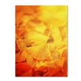 thumbnail image 2 of Trademark Fine Art "Thinking Bubble" Canvas Art by Philippe Sainte-Laudy, 2 of 4
