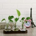 thumbnail image 2 of Desktop Plant Propagation Glass Station Retro Terrarium with Wooden Tray Bulb Vase for Hydroponic Plants Indoor Home Decor Brown Gift, 2 of 4