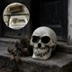 thumbnail image 1 of Caja de llaves oculta de resina con forma de calavera realista – Almacenamiento decorativo para jardín con compartimento secreto, adorno exterior impermeable para esconder llaves, decoración de, 1 of 6