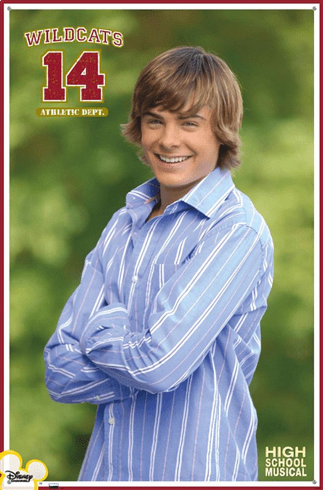 High School Musical - Troy Wall Poster with Pushpins, 22.375" x 34"