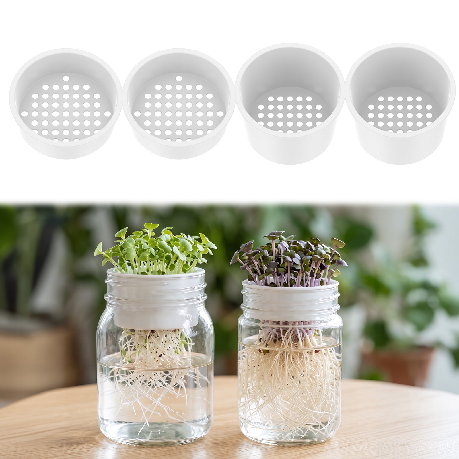 MUSICOZY, Seed Sprouting Tray Kit, 4 Layers, Soil-Free, Stackable