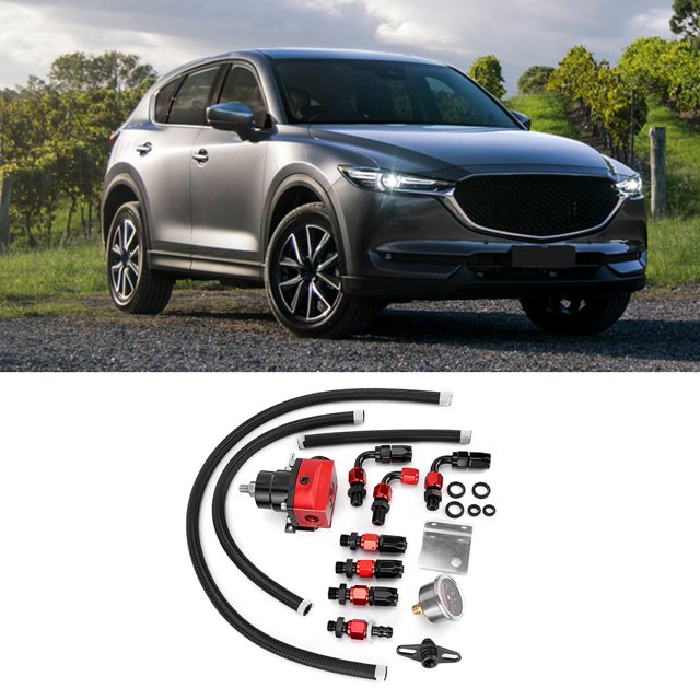 Regulador De Presión, Gran Flexibilidad Y Alta Seguridad Para Interiores ANGGREK Fuel Pressure Regulator