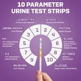 thumbnail image 3 of One Step Pet Urine Test Strips, 50 x 10 Parameter Tests, Dogs Cats Rapid UTI Infection Aid + More, 3 of 9