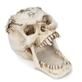 thumbnail image 2 of Portalápices con forma de calavera blanca para escritorio de oficina, decoración de calaveras de osario, 2 of 2