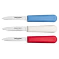 thumbnail image 1 of Dexter Russell S104-3RWC SANI-SAFEÂ® 3 1/4" Paring Knife w/ (3) Assorted Color Handle, High-Carbon Steel, 1 of 1