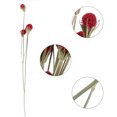 thumbnail image 3 of Flores secas, ramo de decoración de flores secas rojas, jarrón de boda, fiesta en casa, fotografía, decoración de arreglos florales Xemadio ZH-023, 3 of 6