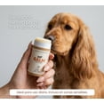 thumbnail image 4 of Pet Balm 60gr. | Bálsamo Hidratante para Nariz y Almohadillas de Perros Cuidado Diario, 4 of 9