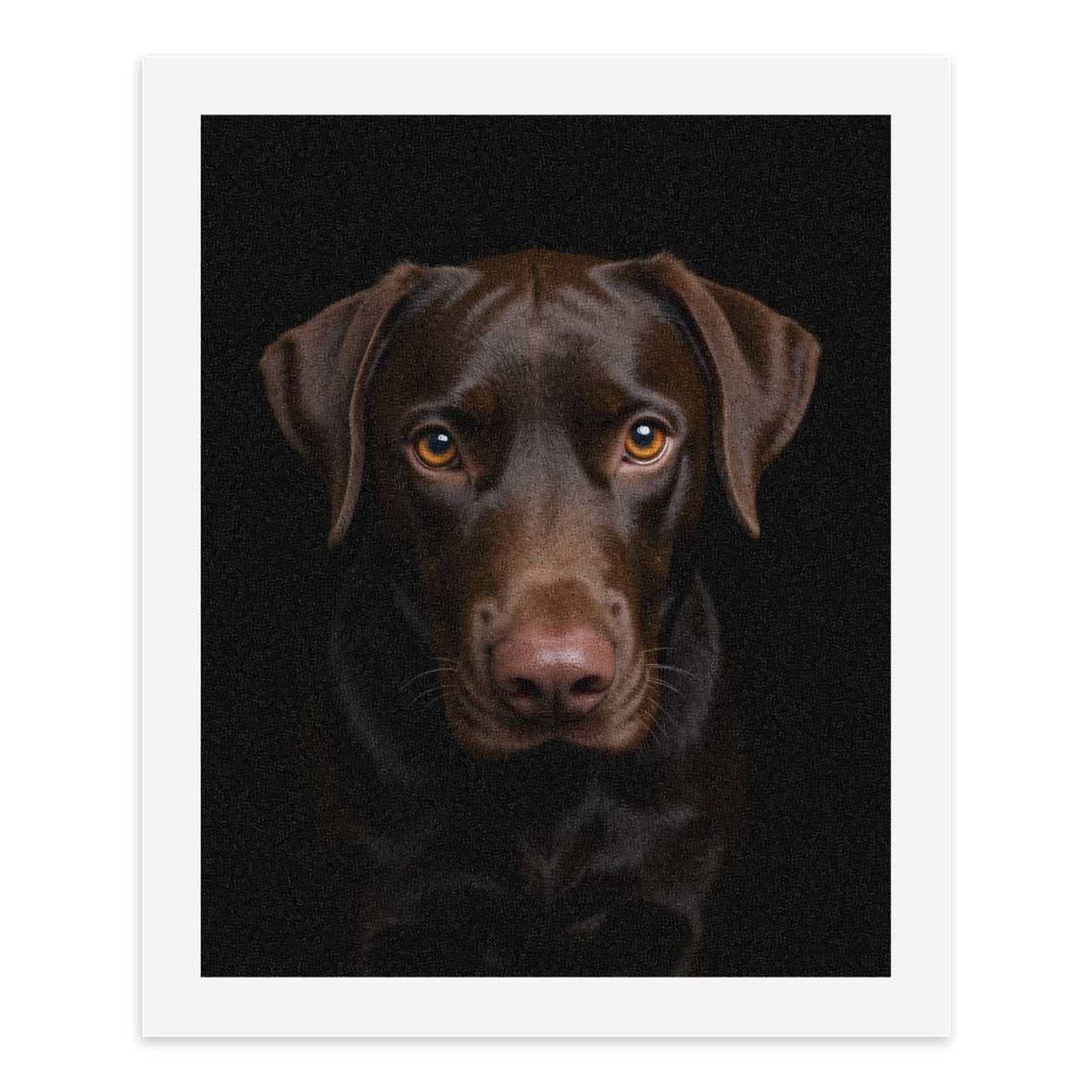 Paint by Numbers Kit for Adults, Chocolate Labrador Gaze Portrait Paint by Numbers, Easy Paint by Numbers Kit for Adults Beginner, DIY Adult Paint by Number Kits on Canvas, Home Decor