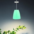 thumbnail image 1 of CTIRCHIU 2Pcs Lamp Shade For Table Lamp Simple And Elegant, 1 of 7