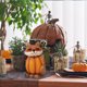 thumbnail image 3 of Xihbxyly Estatuas de Animales de Halloween, Diseño de Zorro, Tortuga y Búho, Adorno de Calabaza Único, Decoración para Interiores y Exteriores, Decoración para Fiestas de Halloween, Regalo Ideal, Tam, 3 of 7