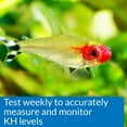 thumbnail image 5 of API KH Carbonate Hardness Test Kit for Fresh and Saltwater Aquariums [Aquarium Water Test Kits, Aquarium Supplies] 1 count, 5 of 6