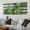thumbnail image 2 of Nawypu  - Colorful Peacock Feathers Artwork - Rustic Canvas Wall Art Home Art, 2 of 4
